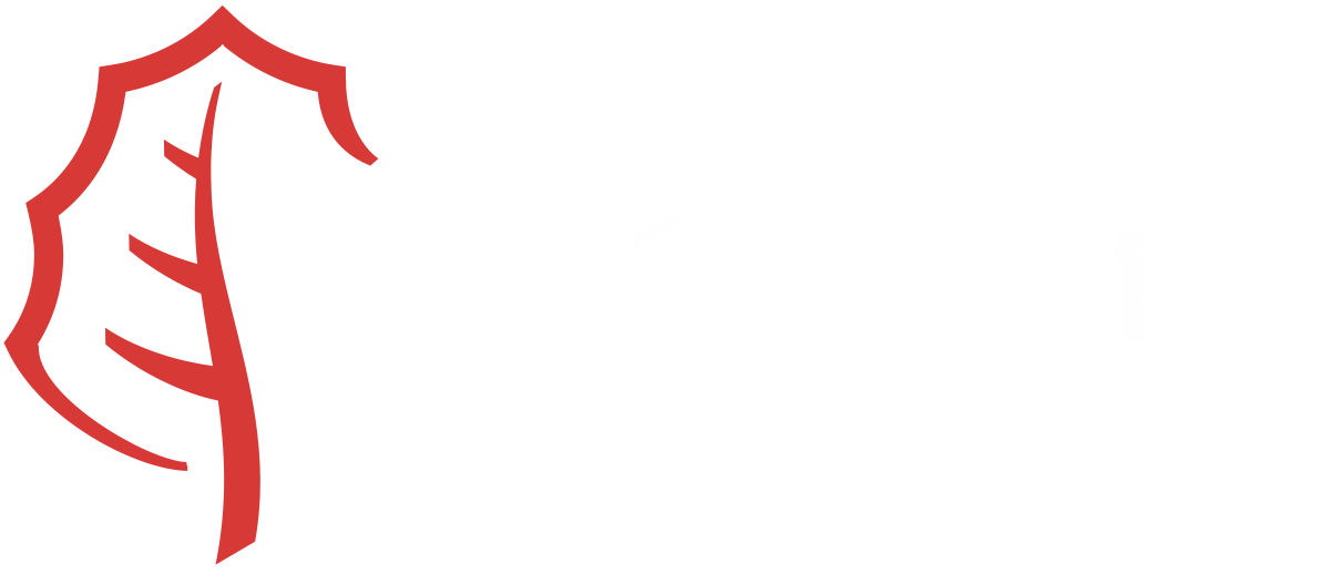 ACCIONA Logo