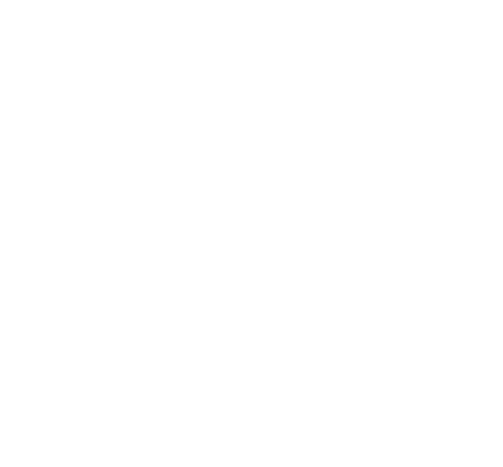 IE Business School Logo